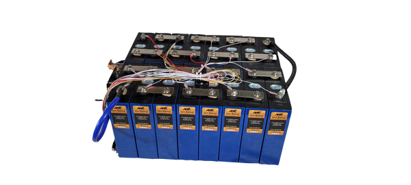 Lynx Battery 48V 200Ah Lithium Iron Phosphate Prismatic Battery with Programmable Smart Bluetooth 200A BMS and Cold Temp Cutoff