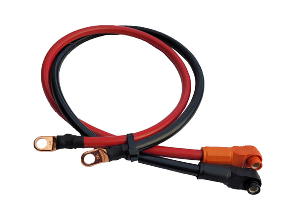 Lynx Battery 48V 200AH Lithium Iron Phosphate LiFePO4 PowerMax Battery, Cased, with Smart BMS, Bluetooth, Cold Temp Cut Off